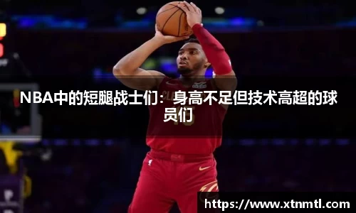 NBA中的短腿战士们：身高不足但技术高超的球员们
