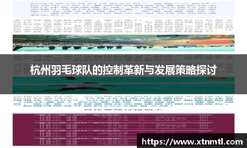 杭州羽毛球队的控制革新与发展策略探讨